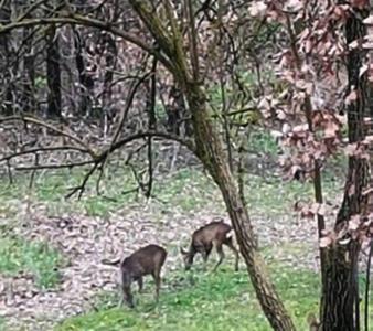 Da Simone Podere Santi Lucia E Pietro Siena Dış mekan fotoğraf